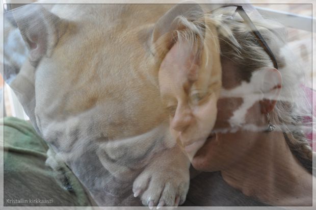 Onnen hetki. Min&auml; ja ranskanbulldoggimme Uuno l&ouml;tk&ouml;ttelem&auml;ss&auml; m&ouml;kill&auml;.