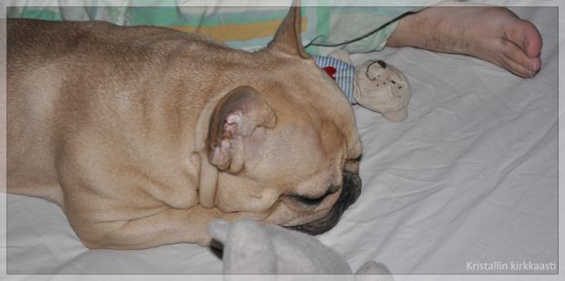 Aina ihanasti jaloissa.